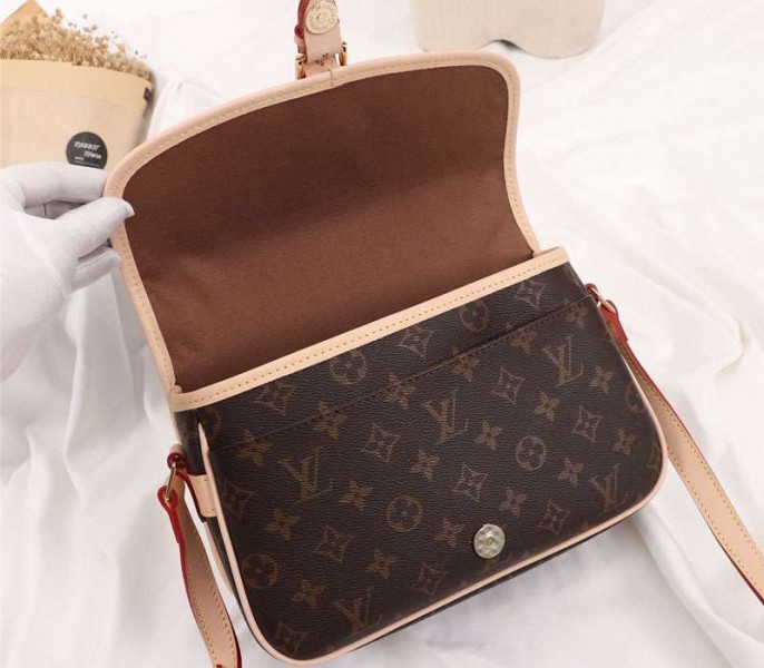 Replica Louis Vuitton Monogram Canvas Sologne PM - Image 6