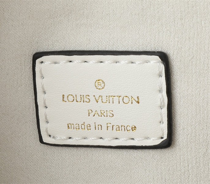 Replica Louis Vuitton Other Leathers Speedy Bandouliere 20 In Quartz White - Image 9