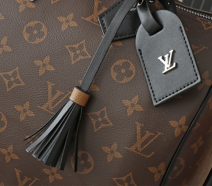 Replica Louis Vuitton Monogram Canvas Soft Speedy 30 Dark In Black - Image 6
