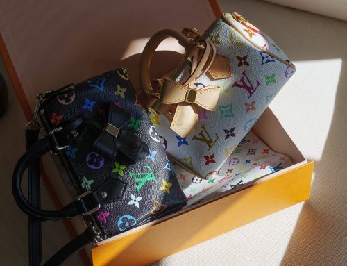 New Louis Vuitton X Murakami Nano Speedy Replica Bags
