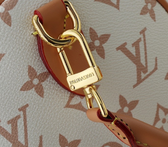 Replica Louis Vuitton Monogram Dune Canvas Speedy Soft 30 Lucky - Image 9