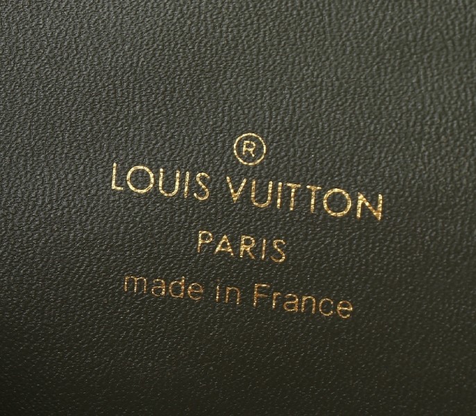 Replica Louis Vuitton Vanity PM In Cream M25219 - Image 6